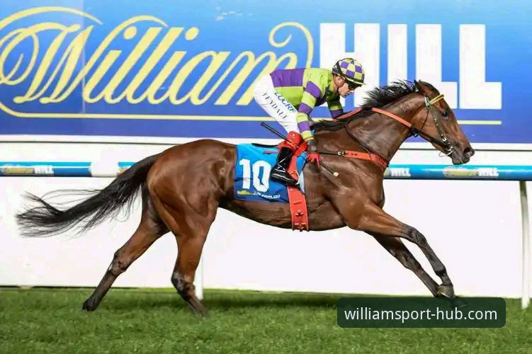 WilliamHill最新网址功能详解 威廉体育官网全面解析:WilliamHill最新网址功能详解与升级亮点深度分析